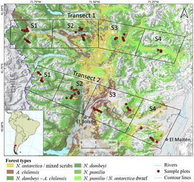 Carbon density and sequestration in the temperate forests of northern Patagonia, Argentina